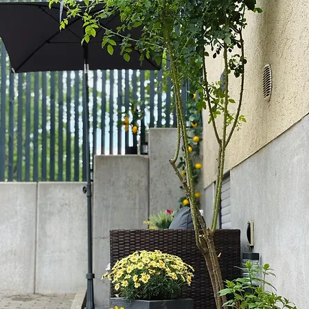 Neu Renovierte Mit Terrasse & Schnellem Wlan Im Odenwald